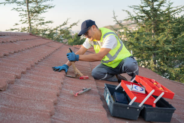 Best Roof Replacement Cost  in Carteret, NJ